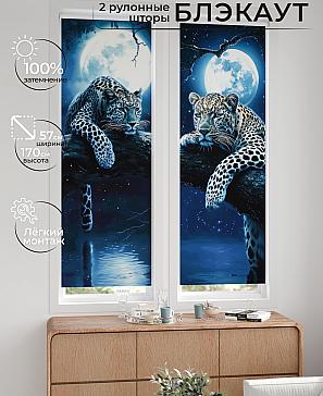 Комплект рулонных штор «Нокрет - 38 - ширина 57 см» | фото