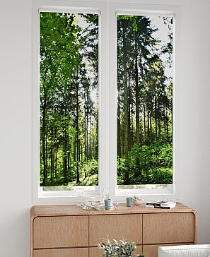 Комплект рулонных штор «Нокрет - 45 - ширина 57 см» | фото 2