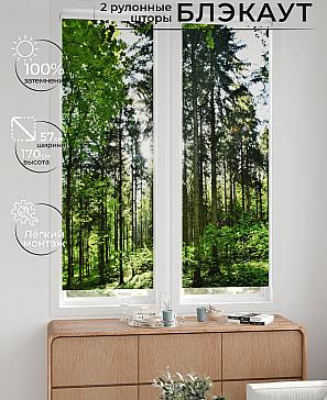 Комплект рулонных штор «Нокрет - 45 - ширина 57 см» | фото