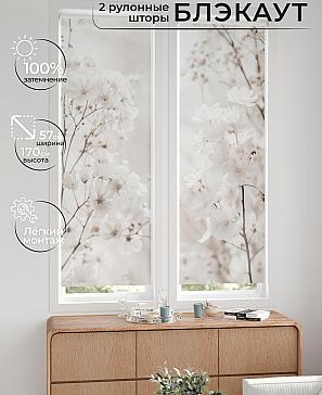 Комплект рулонных штор «Нокрет - 48 - ширина 57 см» | фото