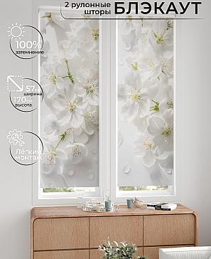 Комплект рулонных штор «Нокрет - 53 - ширина 57 см» | фото