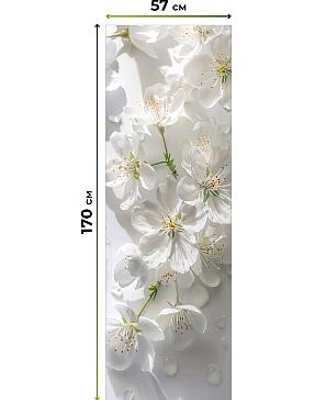 Комплект рулонных штор «Нокрет - 53 - ширина 57 см» | фото 3