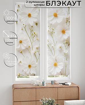 Комплект рулонных штор «Нокрет - 55 - ширина 57 см» | фото