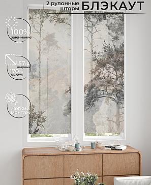 Комплект рулонных штор «Нокрет - 66 - ширина 57 см» | фото