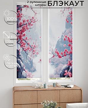 Комплект рулонных штор «Нокрет - 78 - ширина 57 см» | фото