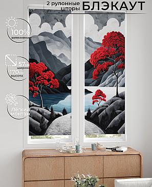 Комплект рулонных штор «Нокрет - 79 - ширина 57 см» | фото