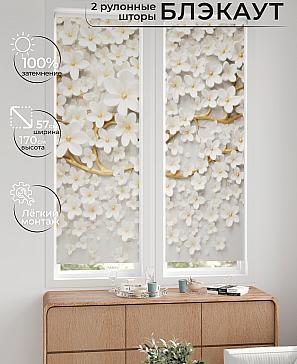 Комплект рулонных штор «Нокрет - 83 - ширина 57 см» | фото