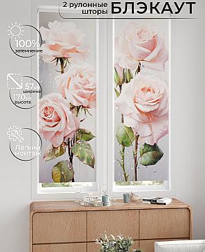 Комплект рулонных штор «Нокрет - 84 - ширина 57 см» | фото