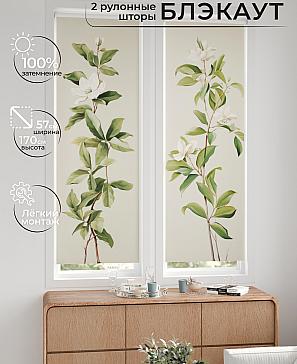 Комплект рулонных штор «Нокрет - 87 - ширина 57 см» | фото