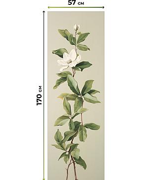 Комплект рулонных штор «Нокрет - 87 - ширина 57 см» | фото 3