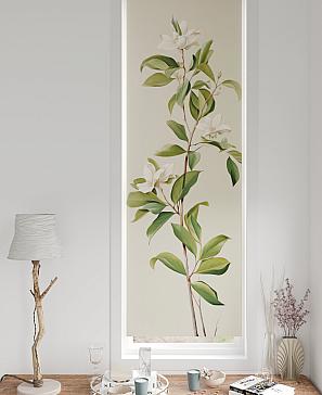 Рулонные шторы «Нокрет - 87 - ширина 57 см»