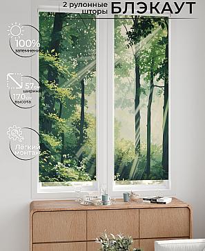 Комплект рулонных штор «Нокрет - 102 - ширина 57 см» | фото