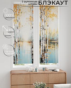 Комплект рулонных штор «Нокрет - 106 - ширина 57 см» | фото