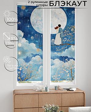 Комплект рулонных штор «Нокрет - 107 - ширина 57 см» | фото