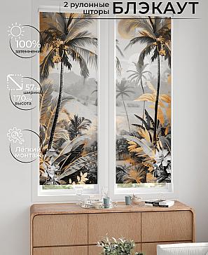 Комплект рулонных штор «Нокрет - 108 - ширина 57 см» | фото