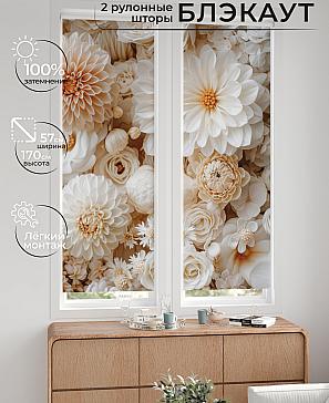 Комплект рулонных штор «Нокрет - 115 - ширина 57 см» | фото