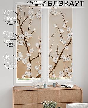 Комплект рулонных штор «Нокрет - 117 - ширина 57 см» | фото