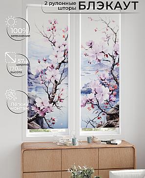 Комплект рулонных штор «Нокрет - 118 - ширина 57 см» | фото