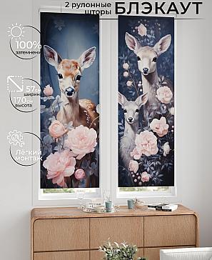 Комплект рулонных штор «Нокрет - 120 - ширина 57 см» | фото