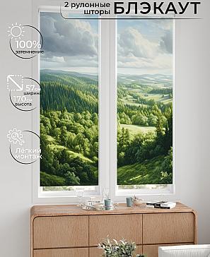 Комплект рулонных штор «Нокрет - 127 - ширина 57 см» | фото 2