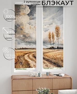 Комплект рулонных штор «Нокрет - 131 - ширина 57 см» | фото 2