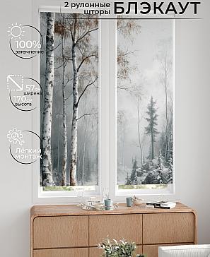 Комплект рулонных штор «Нокрет - 135 - ширина 57 см» | фото 2