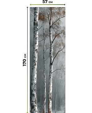 Комплект рулонных штор «Нокрет - 135 - ширина 57 см» | фото 3