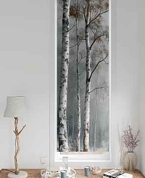 Рулонные шторы «Нокрет - 135 - ширина 57 см»