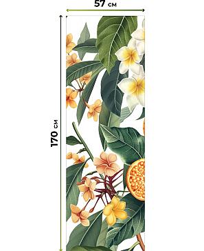 Комплект рулонных штор «Нокрет - 145 - ширина 57 см» | фото 3