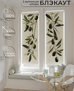 Комплект рулонных штор «Нокрет - 147 - ширина 57 см» | фото