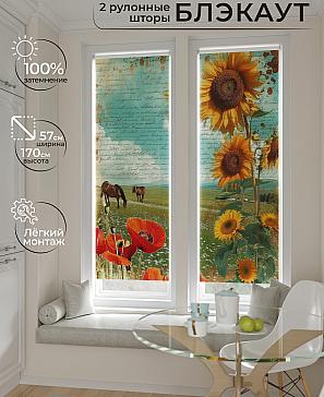 Комплект рулонных штор «Нокрет - 148 - ширина 57 см» | фото