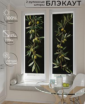 Комплект рулонных штор «Нокрет - 149 - ширина 57 см» | фото