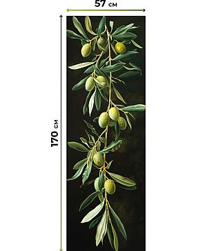 Комплект рулонных штор «Нокрет - 149 - ширина 57 см» | фото 3