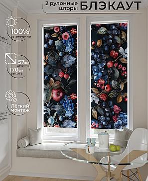 Комплект рулонных штор «Нокрет - 150 - ширина 57 см» | фото