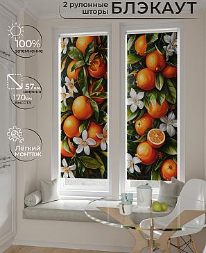 Комплект рулонных штор «Нокрет - 154 - ширина 57 см» | фото