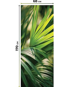 Комплект рулонных штор «Лургас - 03 - ширина 68 см» | фото 3