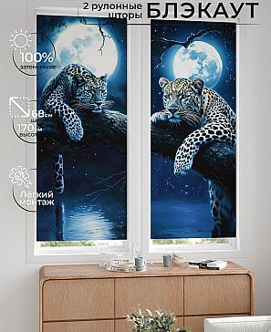 Комплект рулонных штор «Лургас - 04 - ширина 68 см» | фото