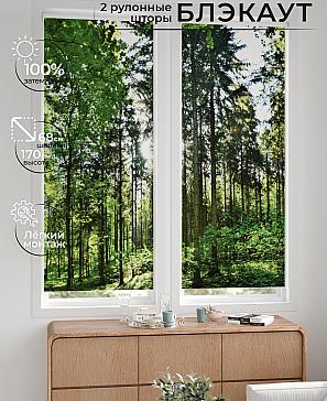 Комплект рулонных штор «Лургас - 11 - ширина 68 см» | фото