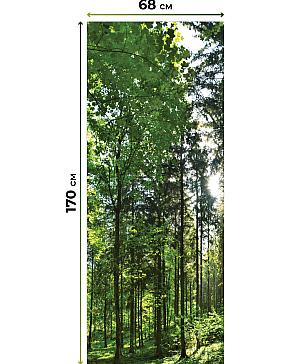 Комплект рулонных штор «Лургас - 11 - ширина 68 см» | фото 3