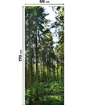 Рулонные шторы «Лургас - 11 - ширина 68 см»