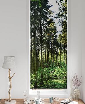 Рулонные шторы «Лургас - 11 - ширина 68 см»