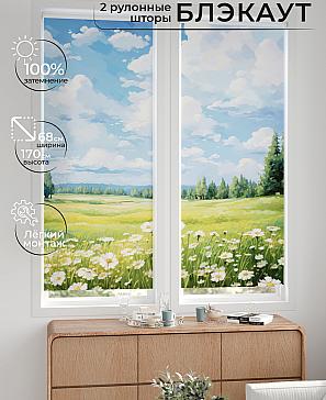 Комплект рулонных штор «Лургас - 12 - ширина 68 см» | фото