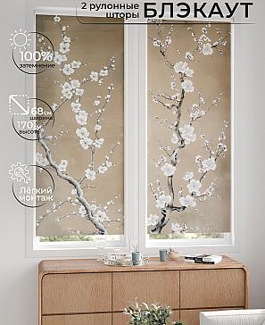 Комплект рулонных штор «Лургас - 17 - ширина 68 см» | фото