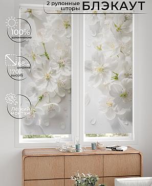 Комплект рулонных штор «Лургас - 19 - ширина 68 см» | фото