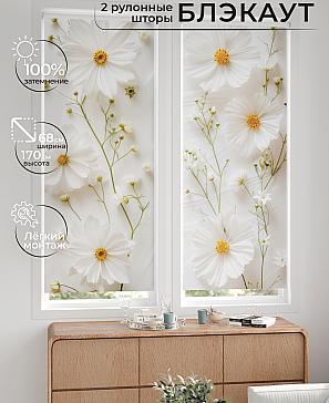 Комплект рулонных штор «Лургас - 21 - ширина 68 см» | фото