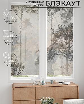 Комплект рулонных штор «Лургас - 32 - ширина 68 см» | фото