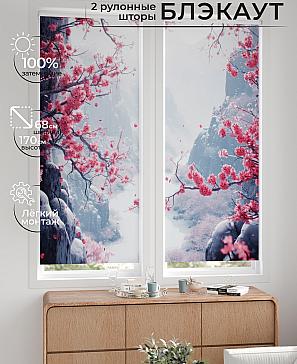 Комплект рулонных штор «Лургас - 44 - ширина 68 см» | фото