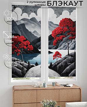 Комплект рулонных штор «Лургас - 45 - ширина 68 см» | фото