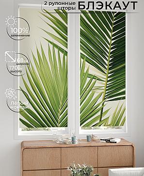 Комплект рулонных штор «Лургас - 51 - ширина 68 см» | фото