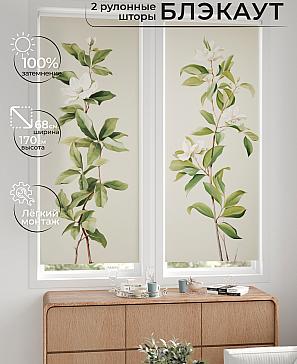 Комплект рулонных штор «Лургас - 53 - ширина 68 см» | фото